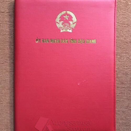 Bìa kẹp File da 12