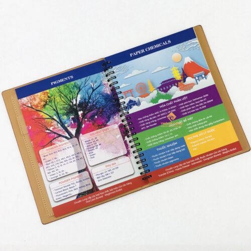 so-da-gay-lo-xo-ucc-228-2