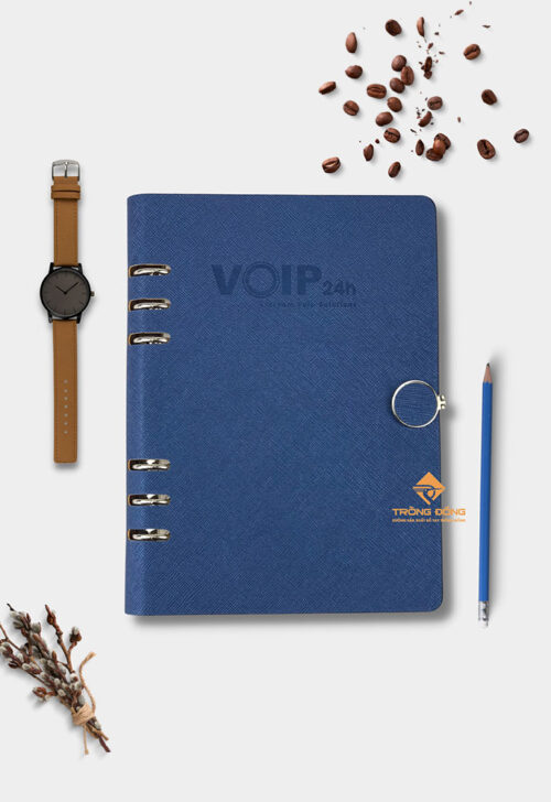 so-da-pu-bia-cong-voip24h-227-2