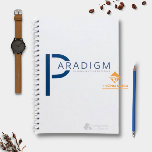 Sổ Tay Lò Xo Bìa Giấy Couche Paradigm 170