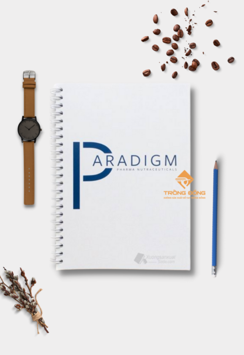 so-tay-lo-xo-paradigm-1