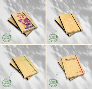 Bộ Quà Tặng XANH03 - introngdong.vn (10)