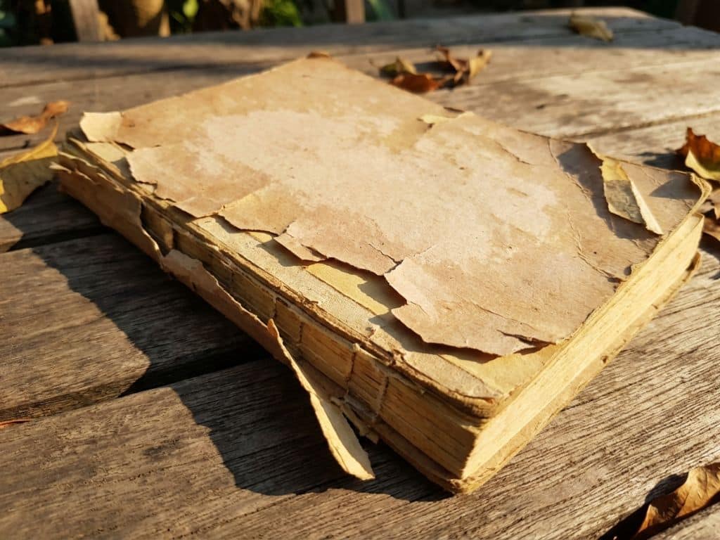 sổ tay bị bong tróc đặt dưới ánh nắng mặt trời - cách bảo quản sổ da