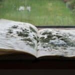 Sổ Tay Bị Mốc Mùa Mưa? 3 Cách Xử Lý Nhanh